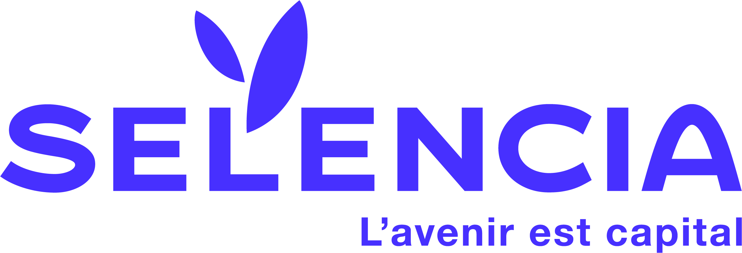 selencia patrimoine logo